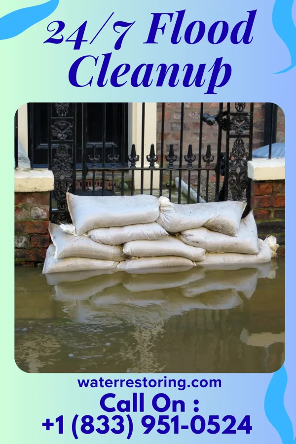 24/7 Flood Cleanup in Packwood, IA